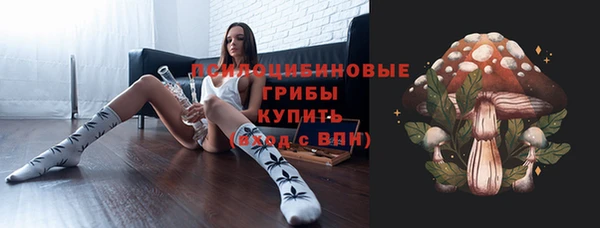 мяу мяу мука Аркадак
