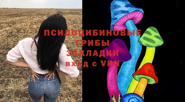 мяу мяу мука Аркадак