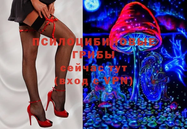 мяу мяу мука Аркадак